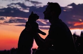 «Тримаюсь» Марія Гошилик