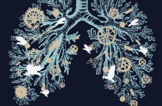 «Видих» Тед Ченґ